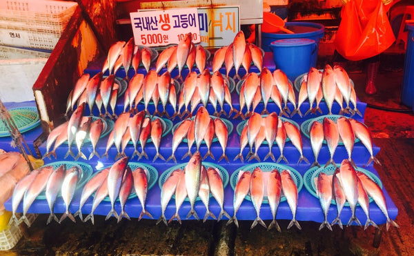 Jagalchi Fish Market & Busan